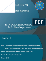Pita Loka - 2019206203029 - Analisa Pico - Gerontik-1