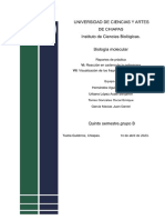 Biología Molecular - RP-6 y 7.