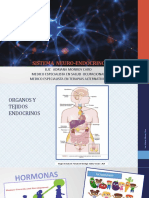 Sistema Neuro - Endocrino