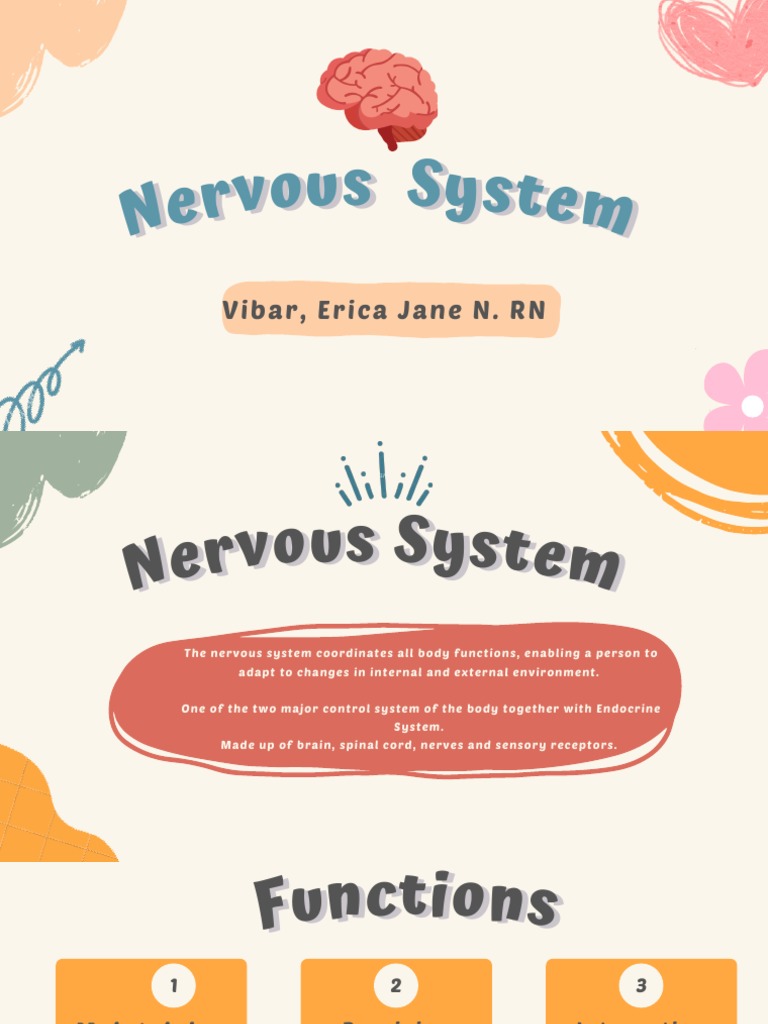 Nervous System 1 | PDF | Nervous System | Central Nervous System