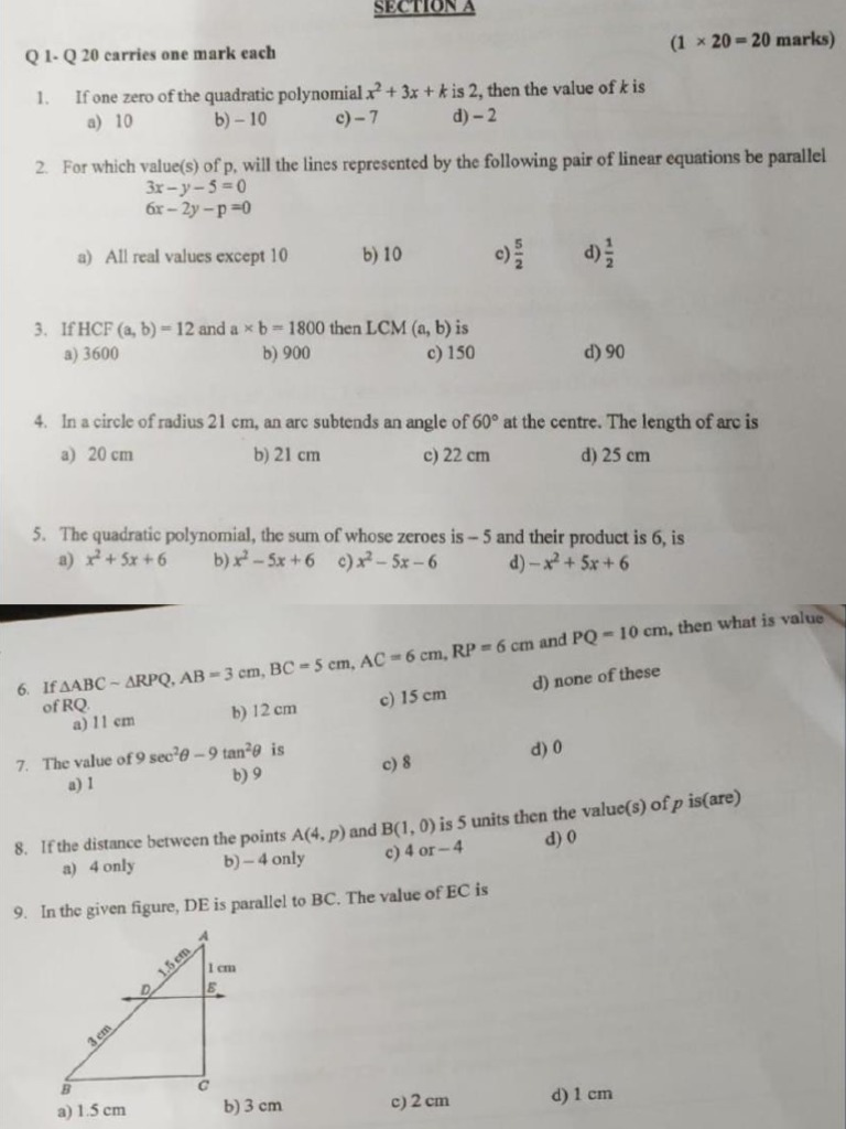 Math IIS Sample Paper | PDF