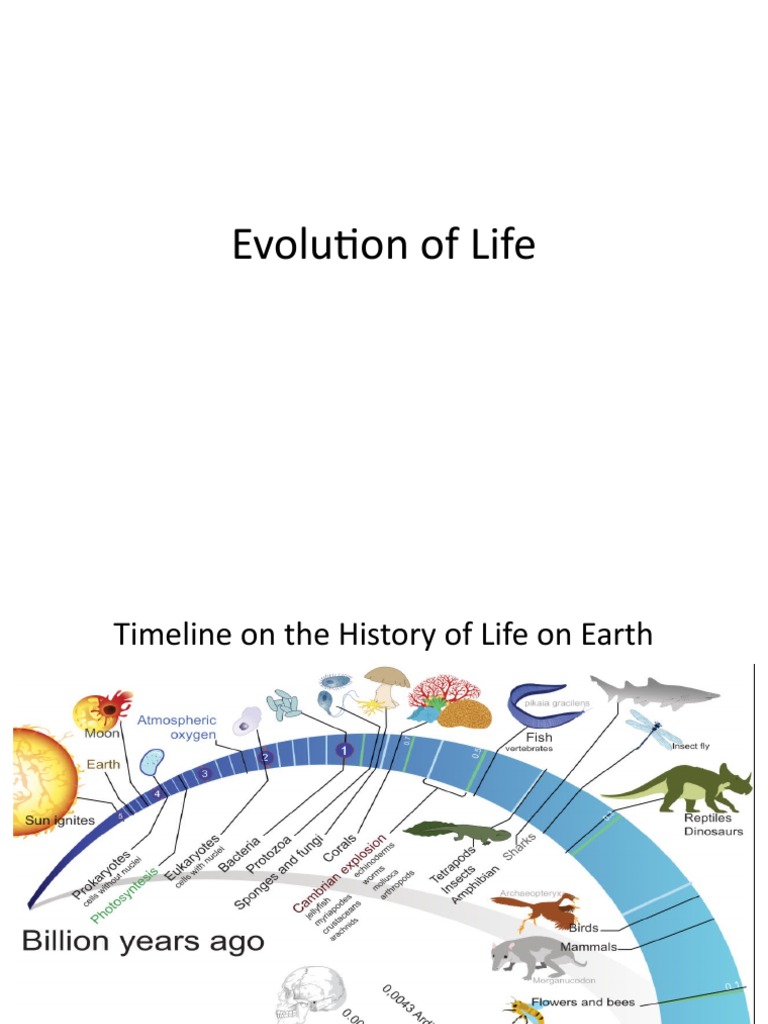 Early Thoeries About Life | PDF | Organisms | Evolution
