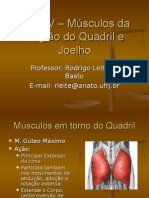 Aula IV - Músculos Da Região Do Quadril