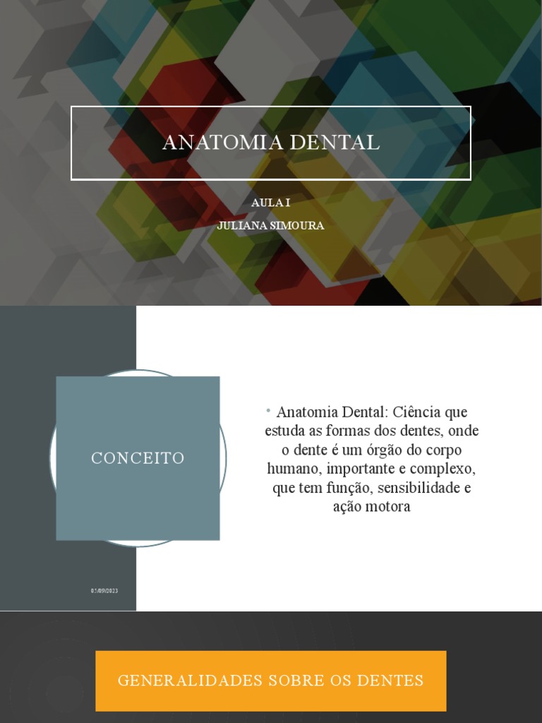 Anatomia Dental Primeira Aula Slides Parte No Caderno Download Grátis