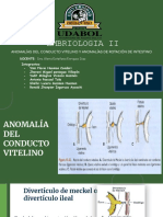 Anomalías Del Conducto Vitelino y Anomalías de Rotación de Intestino