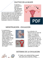 Ciclo Reproductivo en La Mujer