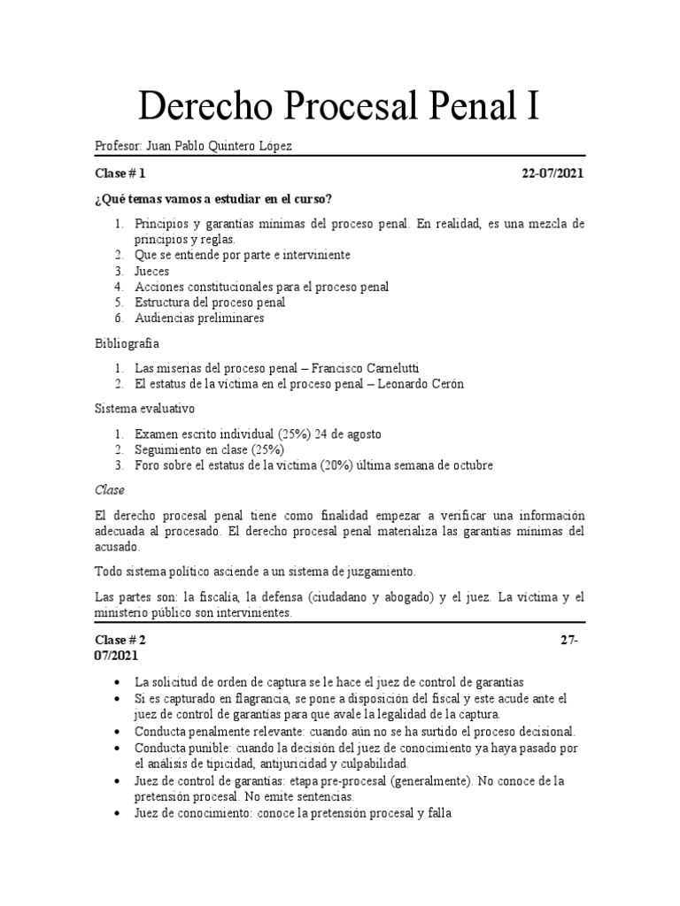Derecho Procesal Penal I - Curso | PDF | Ciencias sociales