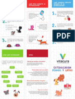 Triptico de Esterilizaciones (Final)