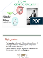 BTC 506 Phylogenetic Analysis