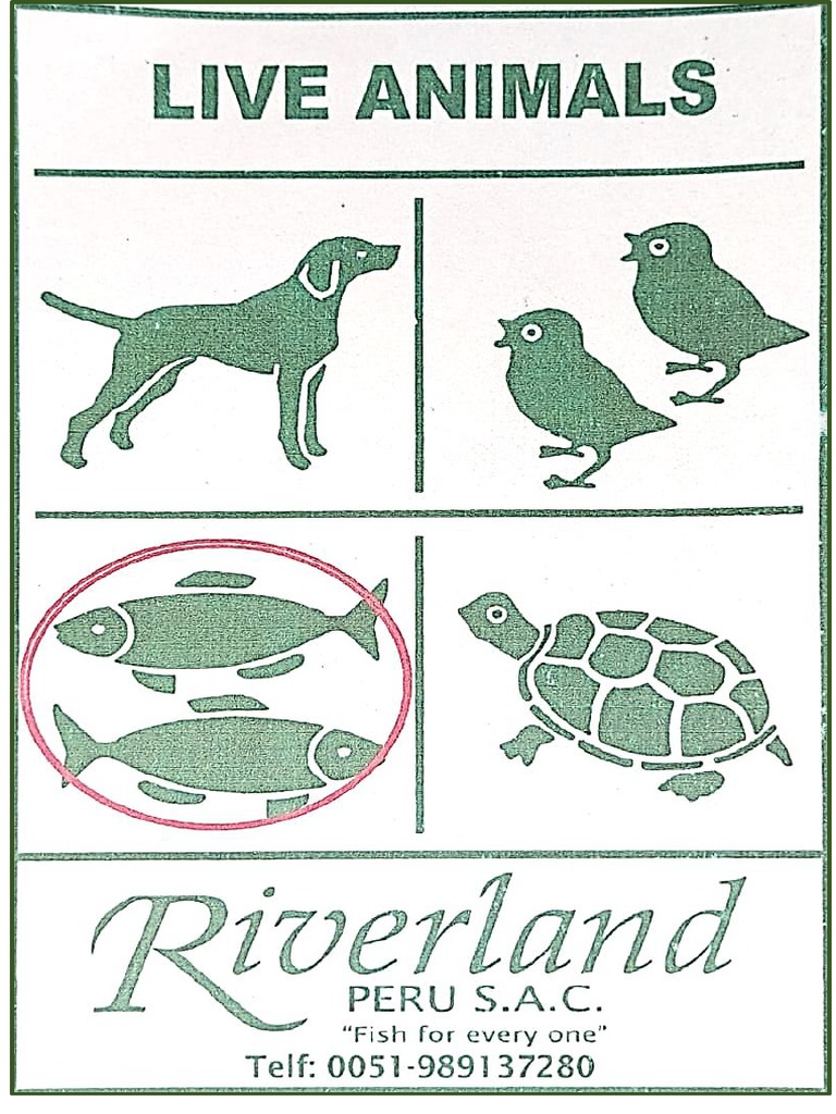 RIBER | PDF