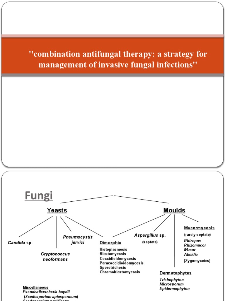 Clotrimazole And Butenafine The Ultimate Antifungal Combo - njl89iz