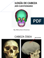 PRIMER - CUESTIONARIO Anatomia