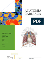Anatomia Cardiaca