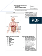 Ficha Sistema Digueativo