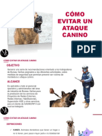 Ataque Canino