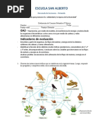 Evaluación de Ciencias Naturales 6º Básico Cadenas Troficas