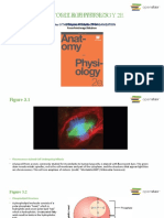 Anatomy and Physiology 2e-Ch03