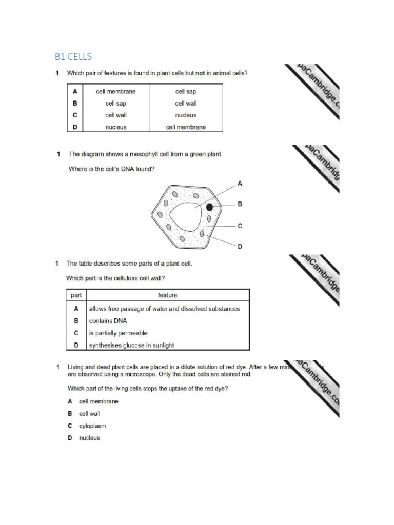 IGCSE Combined Science Study Guide | PDF | Science & Mathematics
