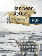 Power Point On Bears