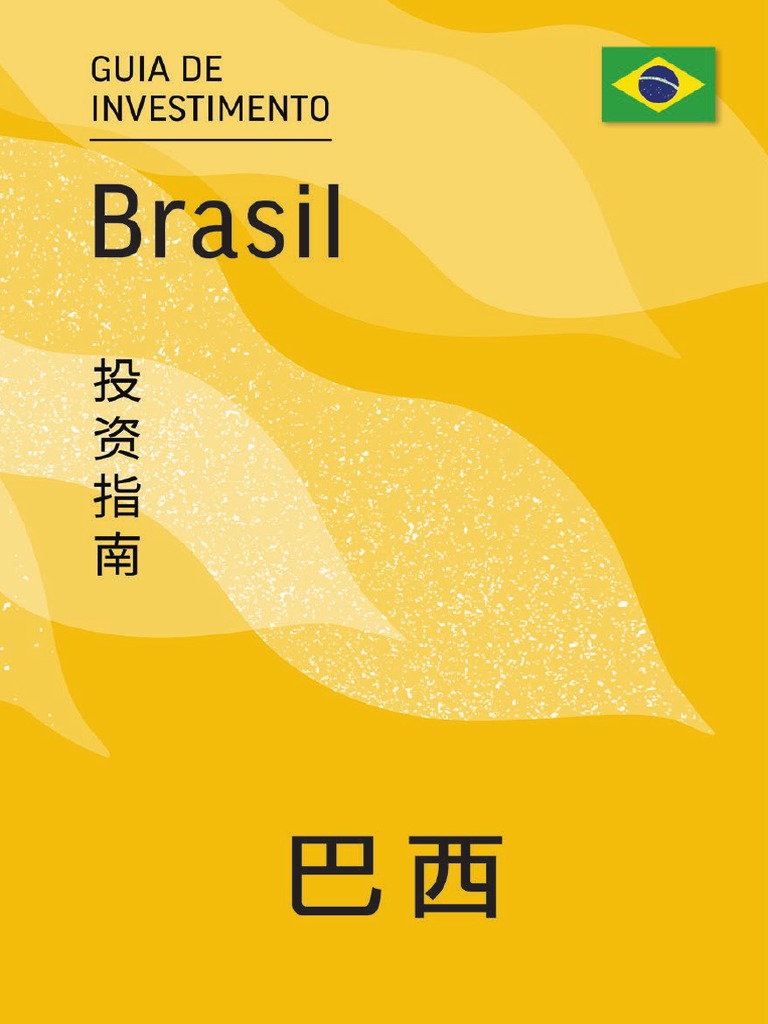Brazil Investment Guide PDF