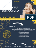 Clase 1 Introduccion, Piel y Estructura