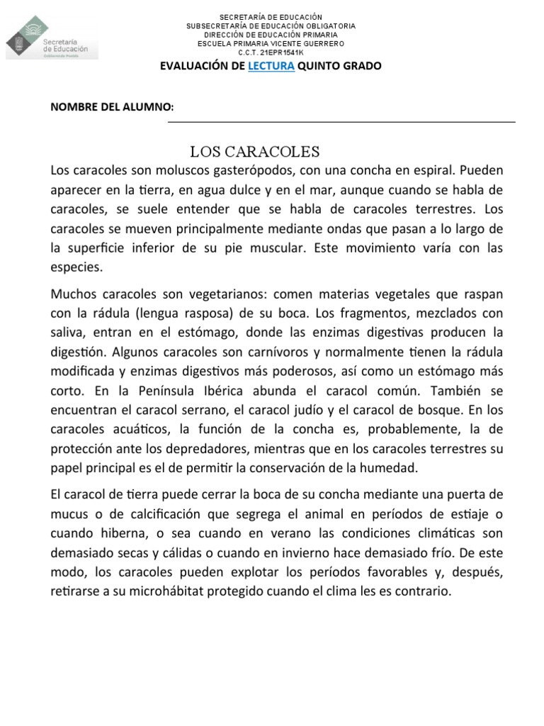 Evaluación de Lectura Quinto Grado | PDF | Boca