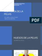 Anatomía de La Pelvis