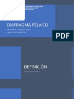 Diafragma Pélvico