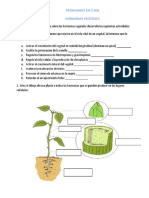 Ficha Hormonas Vegetales