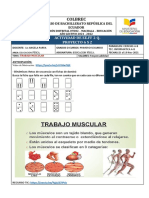 EE - FF-Sistema Muscular 1y 2 BGU 15 Al 19 Nov 2021