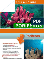 PORÍFEROS        (7º ANO)