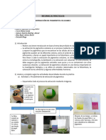 Informe 6 Laboratorio 1