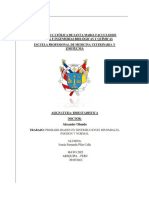 Pilar Calla, Ivania - DISTRIBUCION BINOMIAL DE POISSON y NORMAL