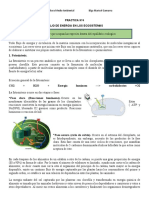 Practica N 4 Flujo de Energia 2023 Revisado II