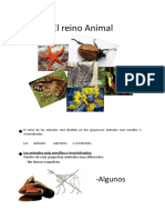 Ud 4 El Reino Animal