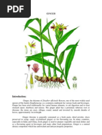Download Ginger by Anbu Malar SN66937634 doc pdf