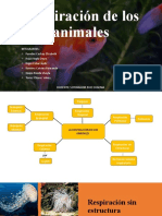 Respiración de Los Animales