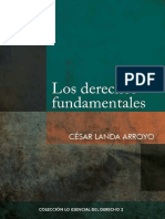 Landa Los Derechos Fundamentales