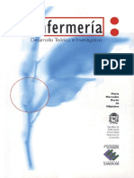 Libro Desarrollo Teórico Enfermería