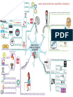 Procesos Psicológicos Básicos