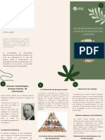 Flyer Folleto Triptico Plantas Vivero Divertido Moderno Orgánico Verde