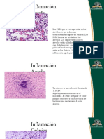 Inflamación Aguda y Crónica