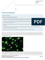 CAPÍTULO 5 - El Sistema Del Complemento