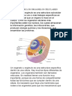 Funciones de Los Organelos Celulares