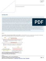 CAPÍTULO 6 - Transcripción