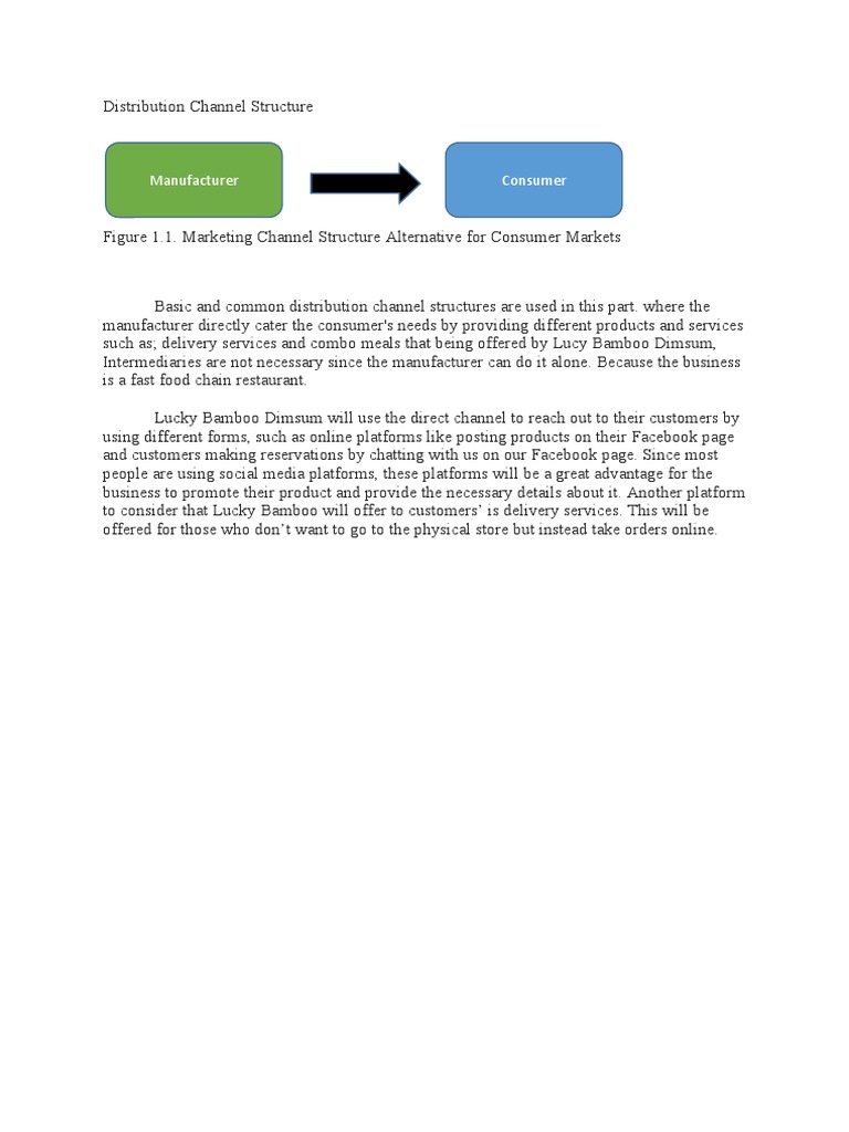 Distribution Channel Structure | PDF