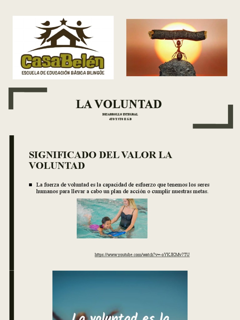 La Voluntad PDF