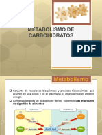 Metabolimodecarbohidratos 210517231755