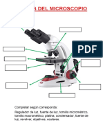 Tarea Microscop237a y C233lula 8vo IIB - 1 - 15642906