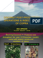 Coconut Drying and Copra-Etb